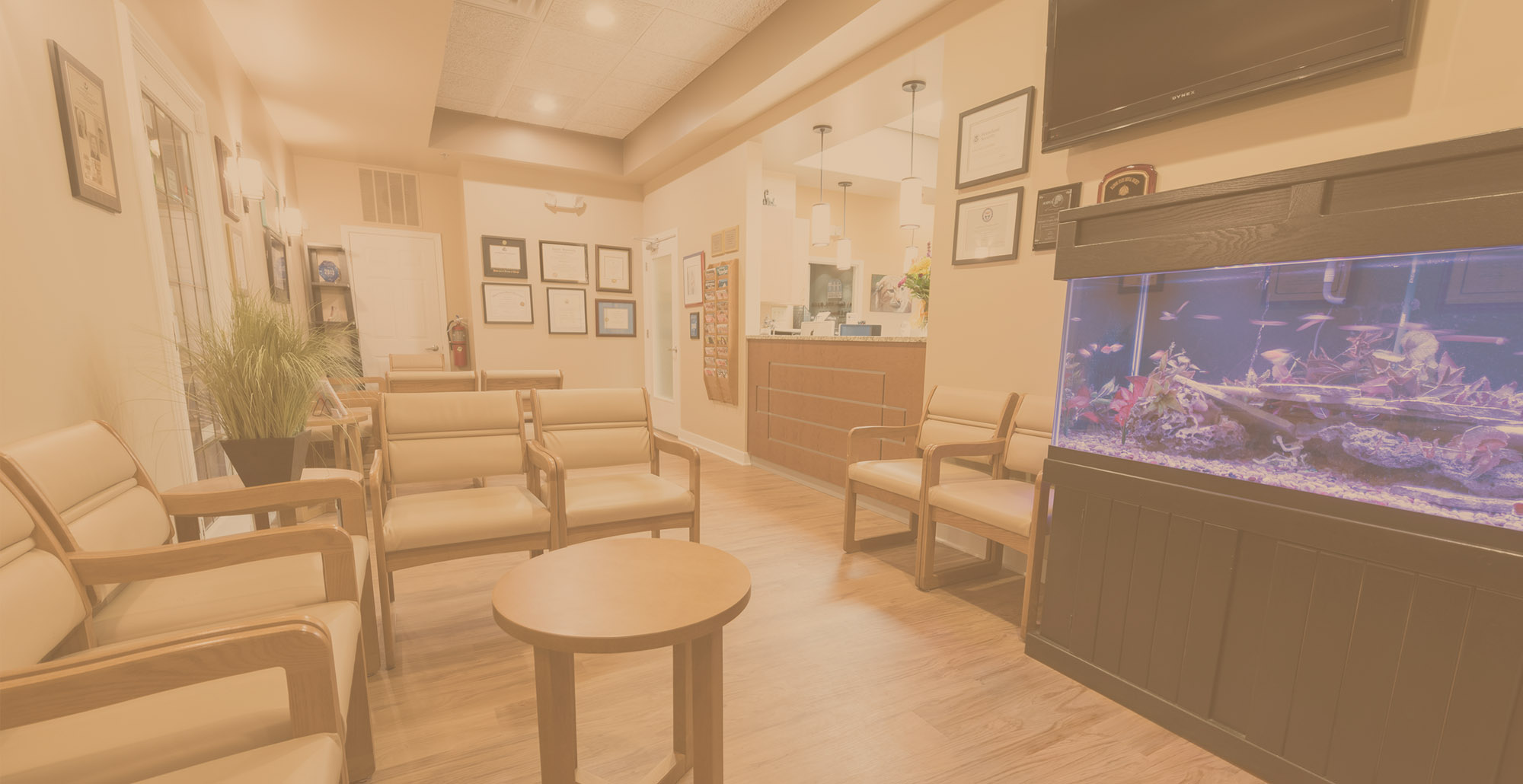 Gurnee Dental Office